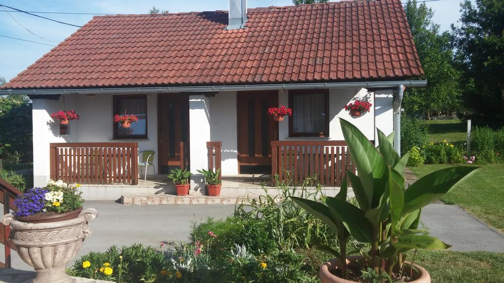 Guest House Family Dukic Rakovica Room photo
