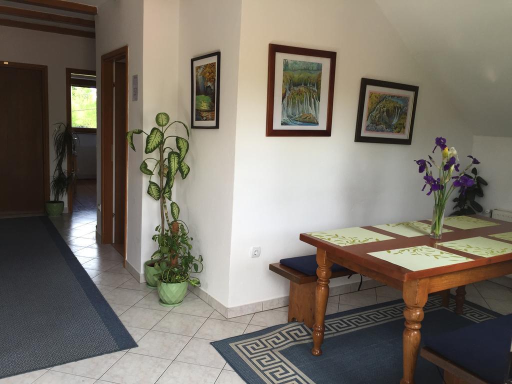Guest House Family Dukic Rakovica Exterior photo